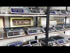 WALL-E vloerschaal platform roestvrij staal vloerschaal Weighbridge Truck Scale