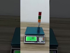 Aangepaste digitale het wegen schaal